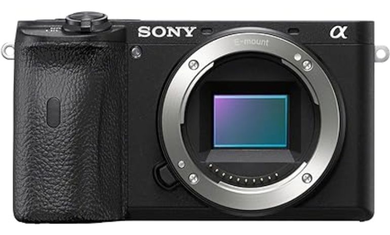 Sony Alpha a6600 - camera for real estate photography