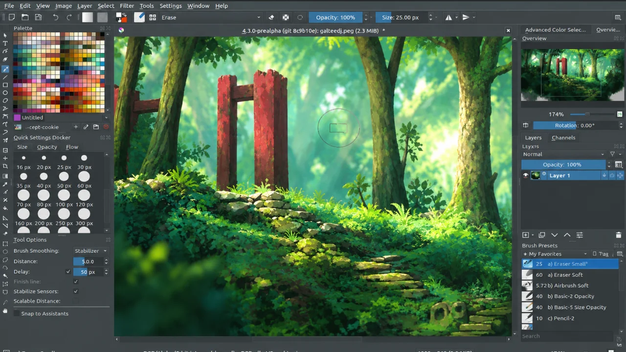 What Is a Raster Editor