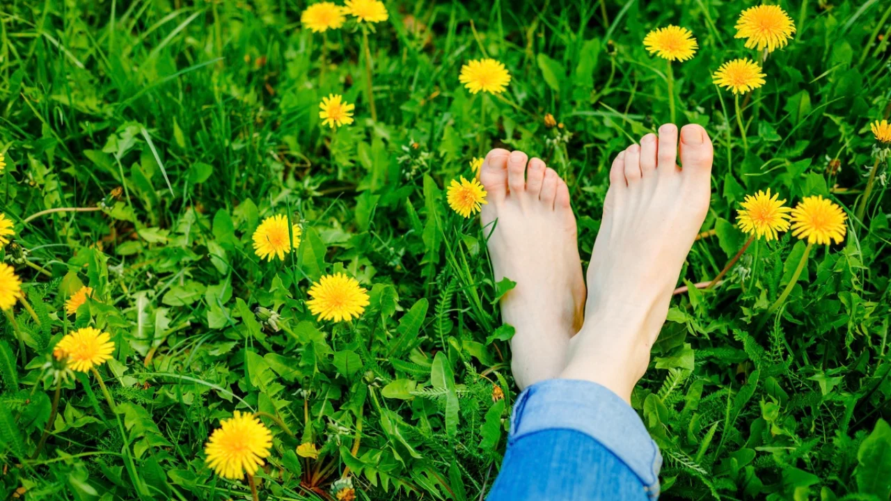 feet pictures ideas